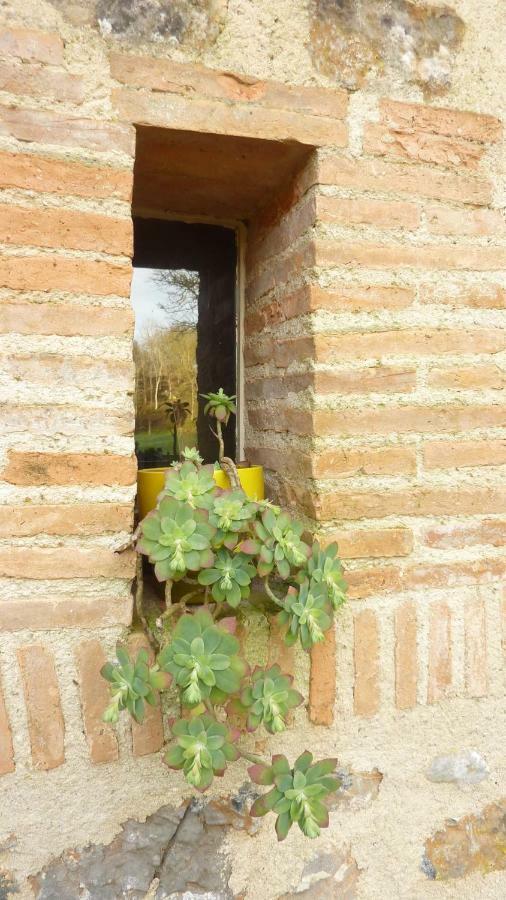 Moulin De Rimer Auvers-le-Hamon Ngoại thất bức ảnh